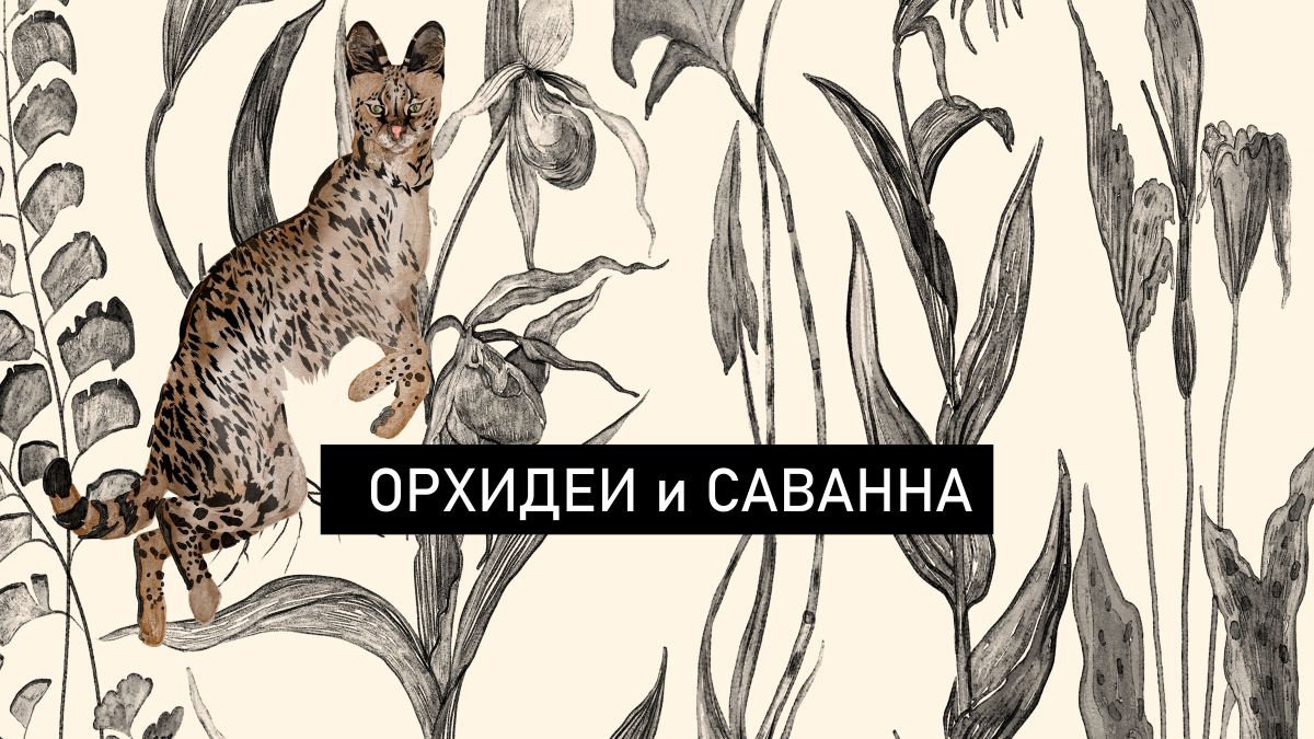 Обложка для капсулы Орхидеи и саванна